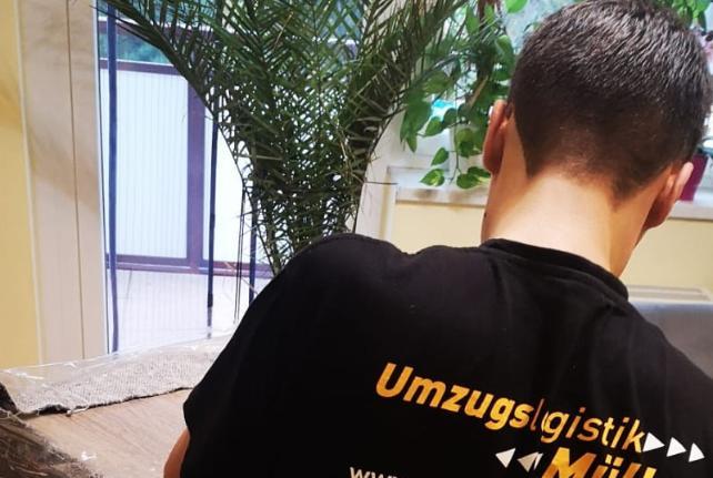 Preise für Ihren Studentenumzug in Stadt Wehlen